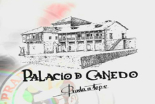 palacio_de_canedo_tn